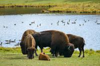 Tag 6 – Besuch Omega-Wildlife-Park (24)