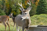 Tag 6 – Besuch Omega-Wildlife-Park (29)