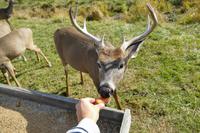 Tag 6 – Besuch Omega-Wildlife-Park (30)