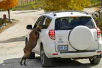 Tag 6 – Besuch Omega-Wildlife-Park (40)