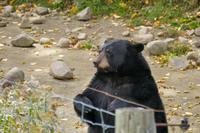 Tag 6 – Besuch Omega-Wildlife-Park (41)