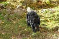 Tag 6 – Besuch Omega-Wildlife-Park (43)