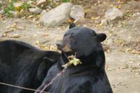 Tag 6 – Besuch Omega-Wildlife-Park (44)