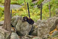 Tag 6 – Besuch Omega-Wildlife-Park (46)