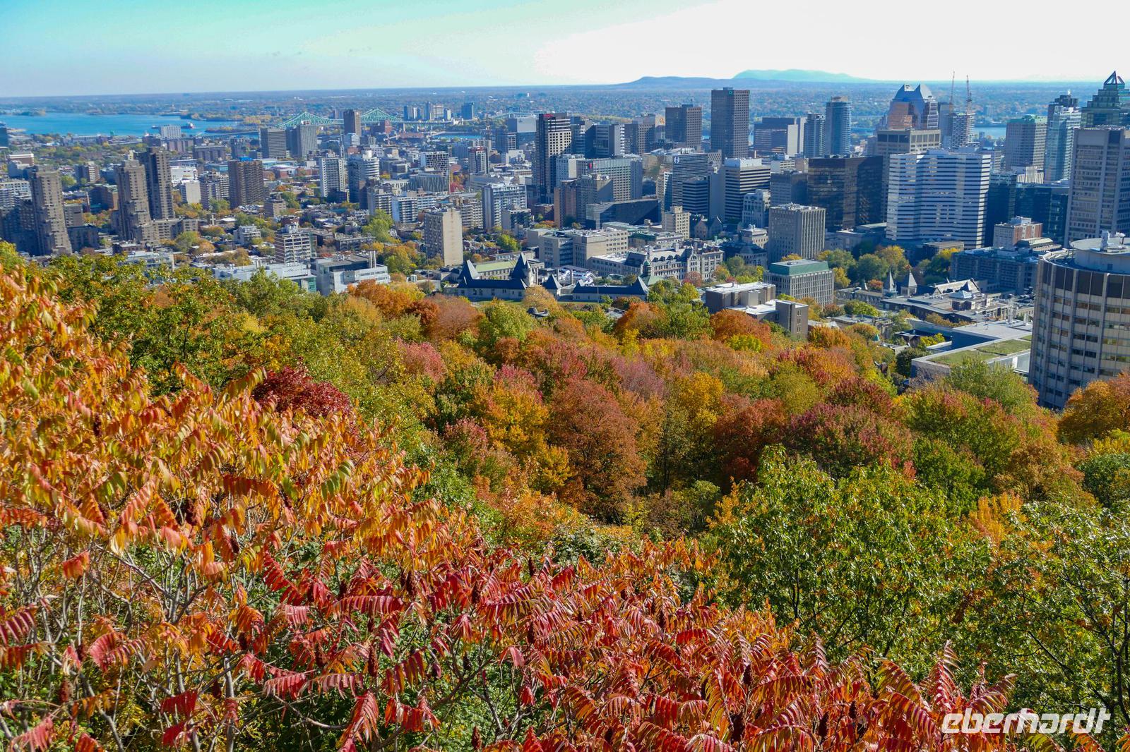 Tag 7– Stadtrundfahrt Montreal (14)