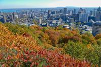 Tag 7– Stadtrundfahrt Montreal (14)