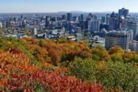 Tag 7– Stadtrundfahrt Montreal (15)