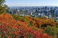 Tag 7– Stadtrundfahrt Montreal (16)