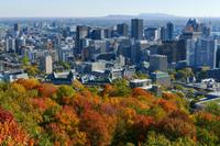 Tag 7– Stadtrundfahrt Montreal (17)