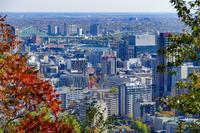 Tag 7– Stadtrundfahrt Montreal (18)