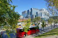 Tag 7– Stadtrundfahrt Montreal (23)