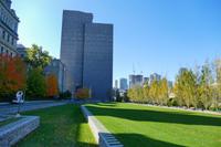 Tag 7– Stadtrundfahrt Montreal (24)