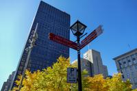 Tag 7– Stadtrundfahrt Montreal (29)