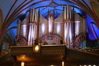 Tag 7– Stadtrundfahrt Montreal, Basilika de Notre Dame (7)