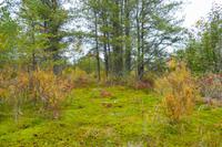 Tag 8 – Freiyeit am Lac Taureau (3)