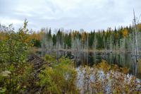 Tag 8 – Freiyeit am Lac Taureau (4)