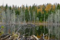 Tag 8 – Freiyeit am Lac Taureau (6)