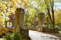 Tag 9 – Basilica of our Lady (1)