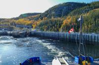 Tag 10 – Tadoussac (3)