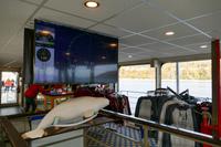 Tag 10 – Walbeobachtung auf dem Sankt Lorenz Strom (2)