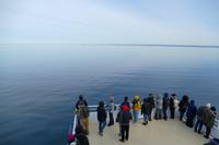 Tag 10 – Walbeobachtung auf dem Sankt Lorenz Strom (7)