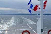 Tag 10 – Walbeobachtung auf dem Sankt Lorenz Strom (8)