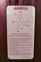 Tag 11– Abschluss-Abendessen (2)