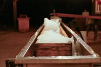 Tag 11– Abschluss-Abendessen (3)