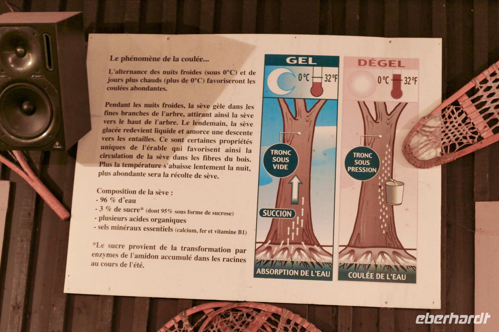 Tag 11– Abschluss-Abendessen (4)