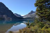 Bow Lake mit Bow Gletscher