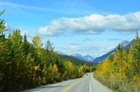 Während der Fahrt...