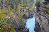 Athabasca-Fälle Canyon