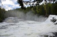 Dawson Falls Abendstimmung