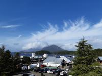 Aussicht von unserem Hotel in Tofino