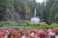 Butchart Gardens 3