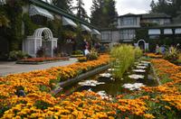 Butchart Gardens 7