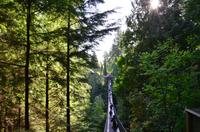 Capilano Suspension Bridge Park 3