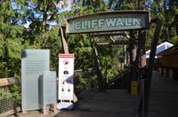 Capilano Suspension Bridge Park 7