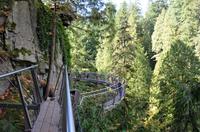 Capilano Suspension Bridge Park 8