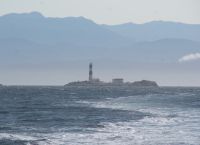 191 Whale Watching