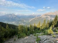Spaziergang auf dem Sulphur Mountain