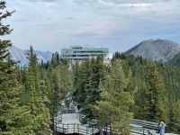 Spaziergang auf dem Sulphur Mountain