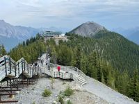 Spaziergang auf dem Sulphur Mountain