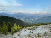 Spaziergang auf dem Sulphur Mountain