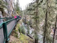 Spaziergang im Johnsten Canyon