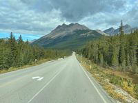 Weiter geht es zum Athabasca Gletscher