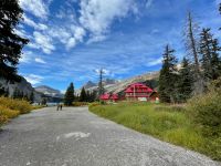 Fotostopp am Bow Lake
