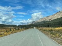 Weiter geht es zum Athasbasca Gletscher