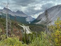 Weiter geht es zum Athasbasca Gletscher