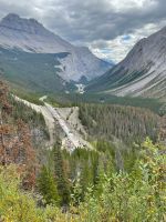 Weiter geht es zum Athasbasca Gletscher